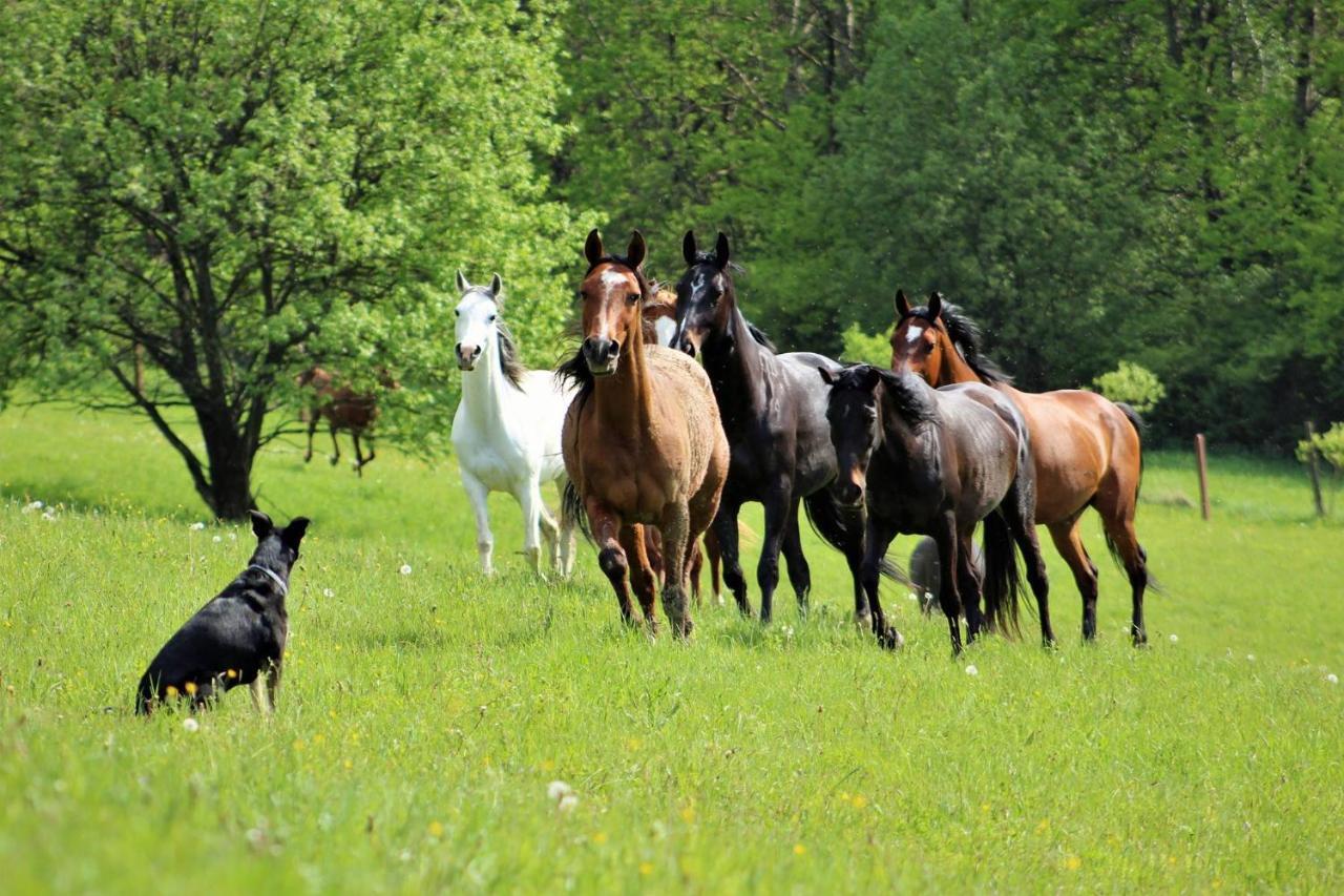 Domek Kozacki Łukowe Esterno foto